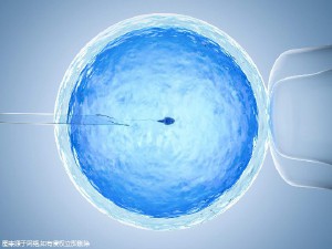 Dr. Zhang